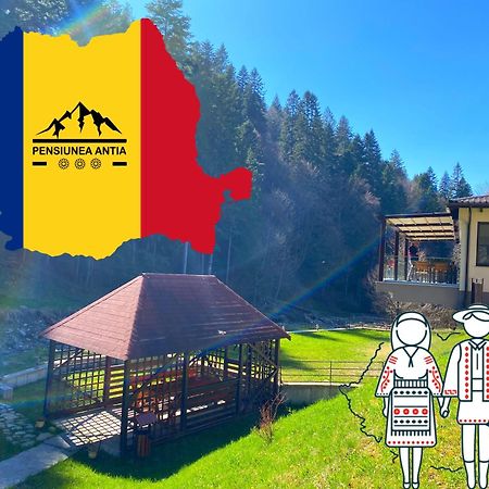 Pensiunea Antia Durău Exterior foto