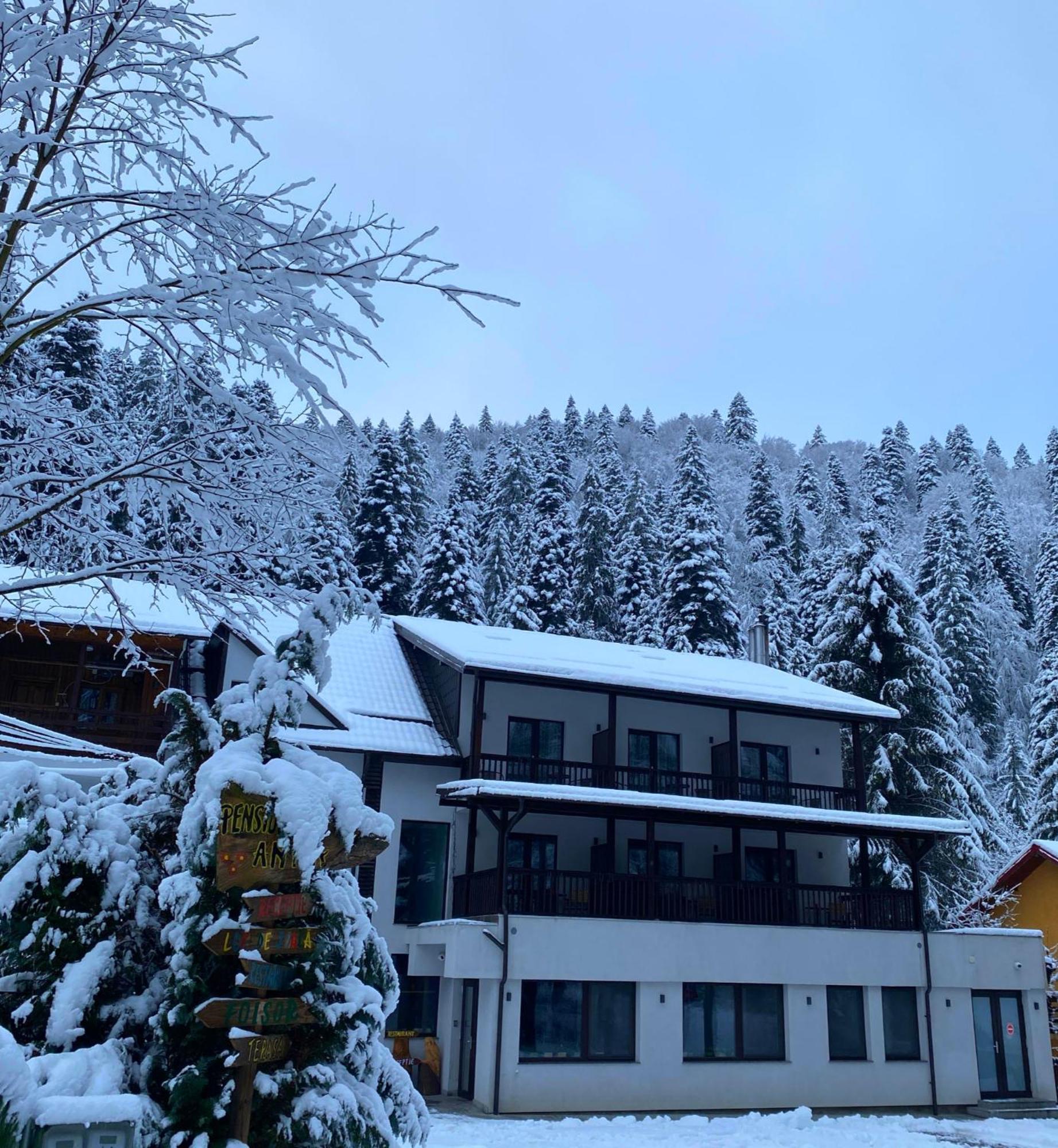 Pensiunea Antia Durău Exterior foto