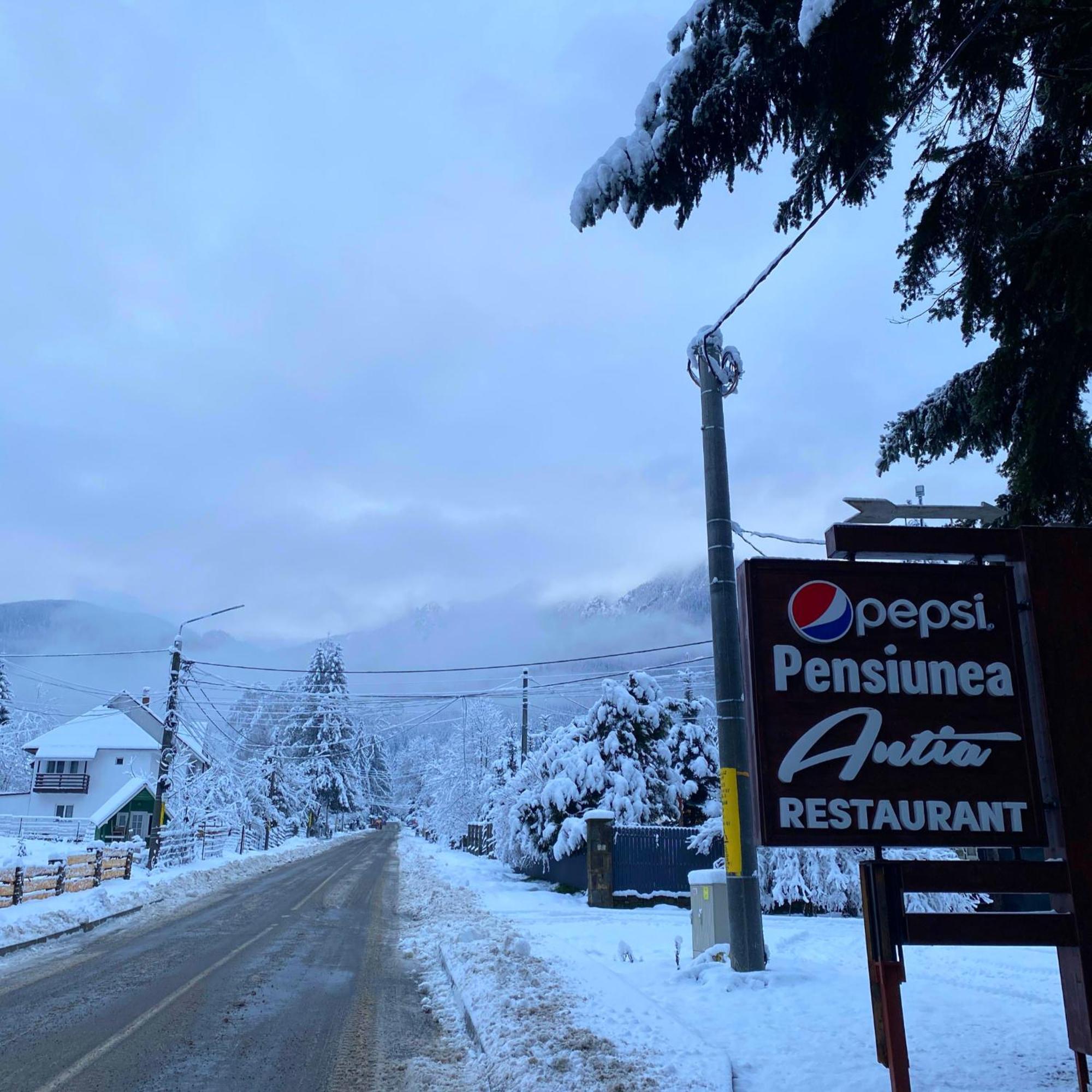 Pensiunea Antia Durău Exterior foto
