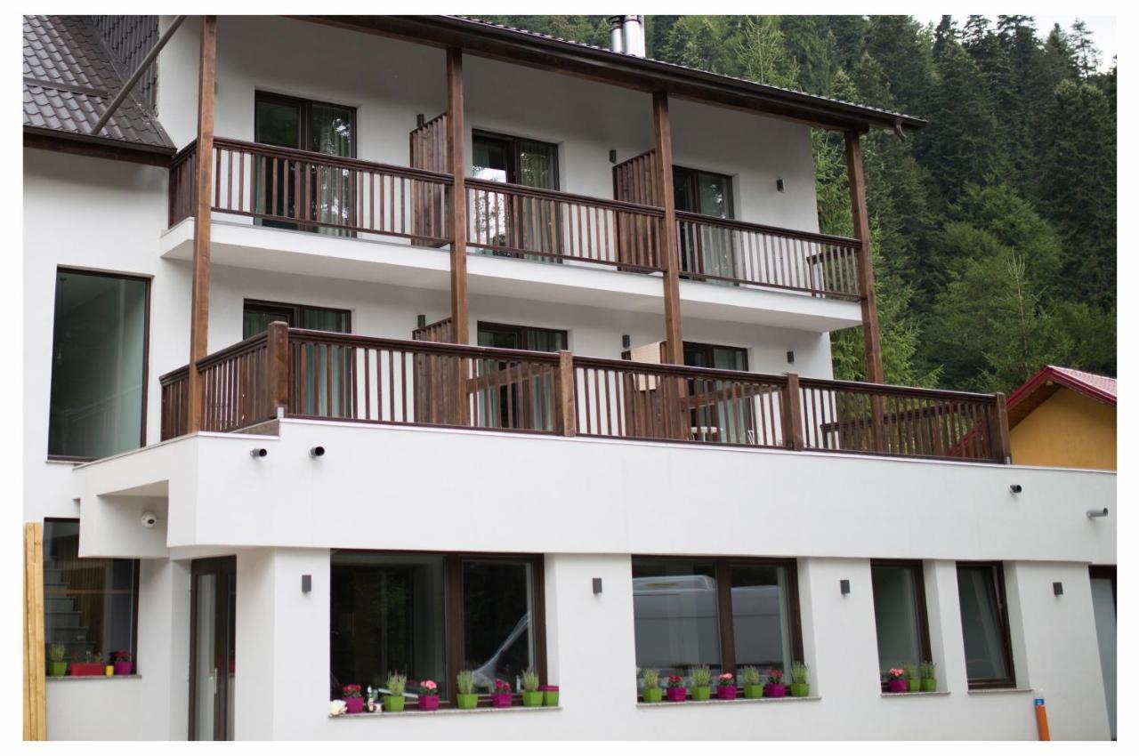 Pensiunea Antia Durău Exterior foto